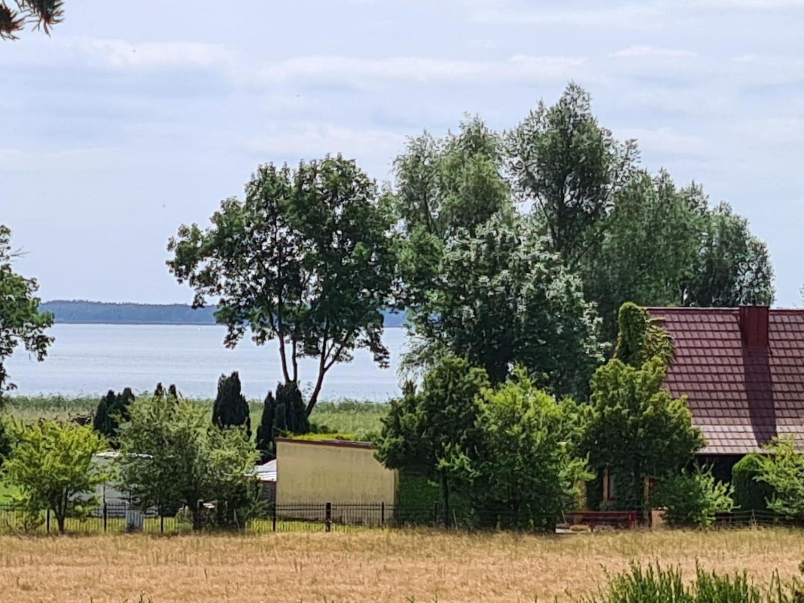 Ferienhaus Koehler Am Achterwasser Incl Boootsvermietung Urlaub Mit Hund Lutow ภายนอก รูปภาพ